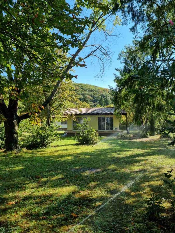 Fuk-Tak'S Bungalow Dojran Ngoại thất bức ảnh
