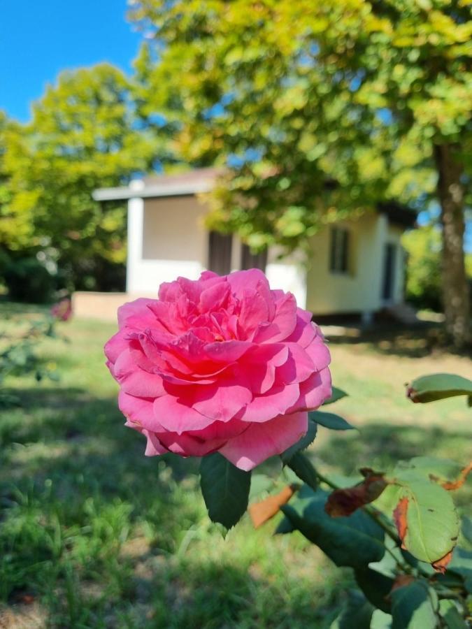 Fuk-Tak'S Bungalow Dojran Ngoại thất bức ảnh